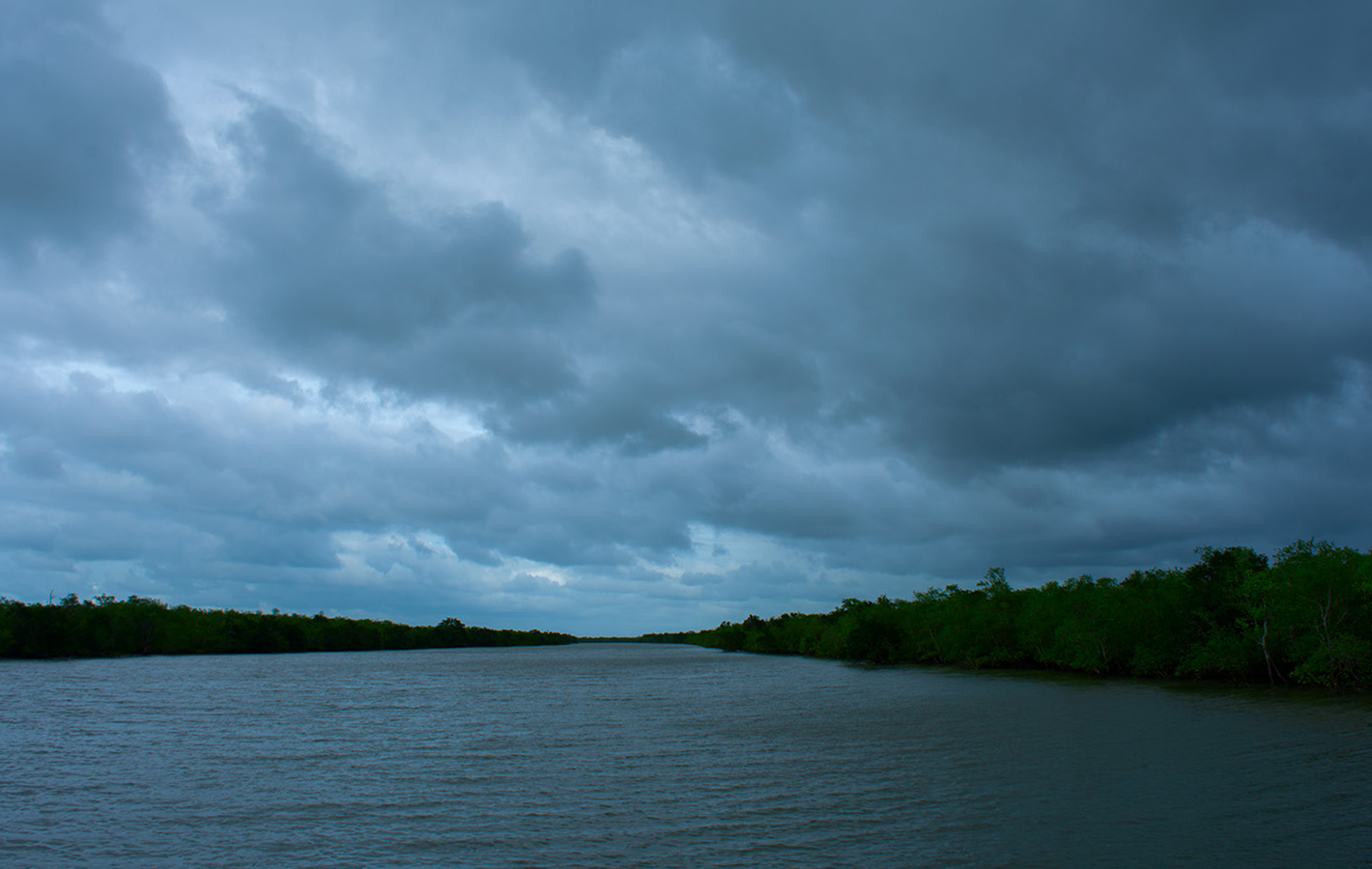 River & Forest