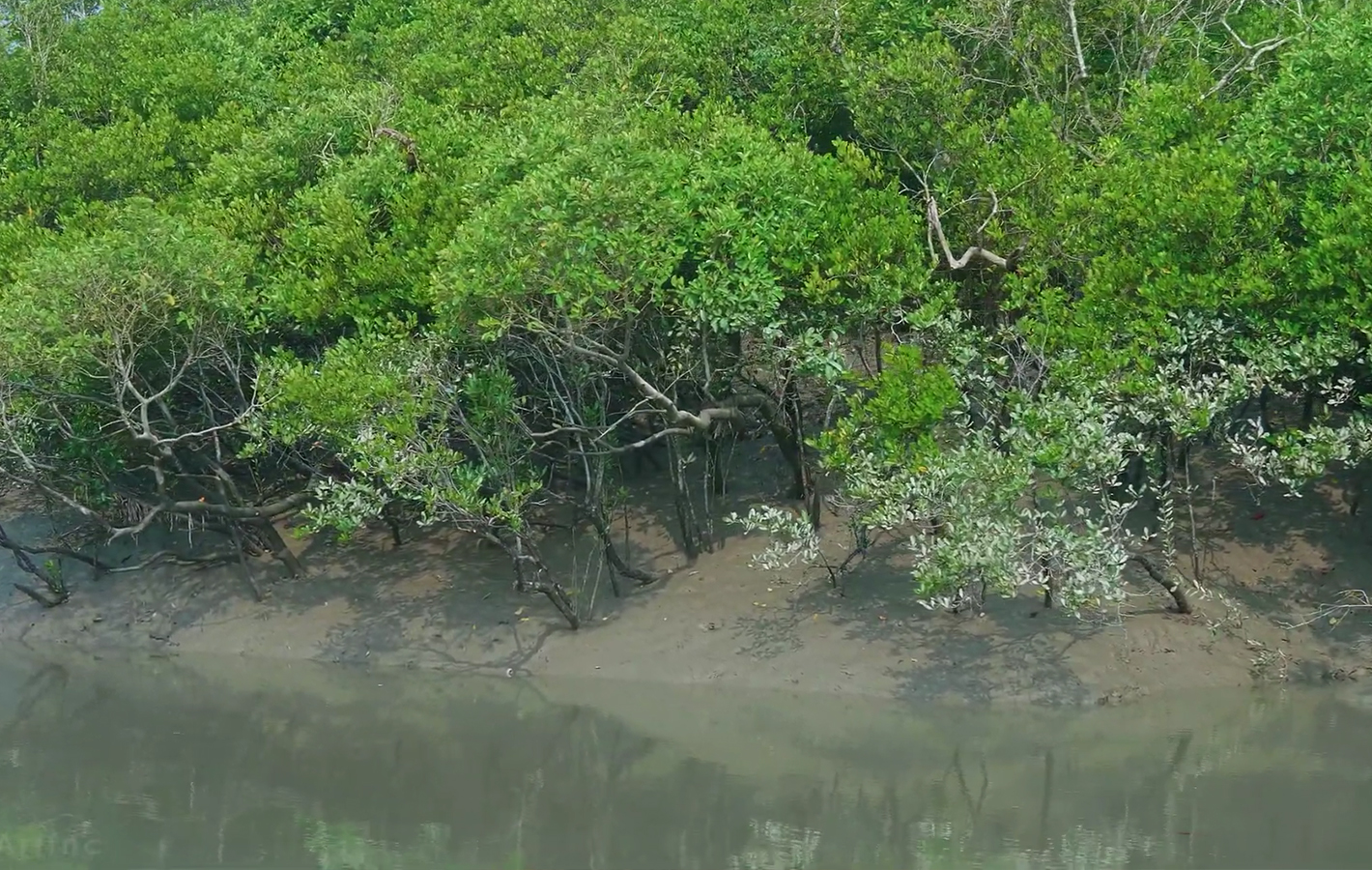 River & Forest