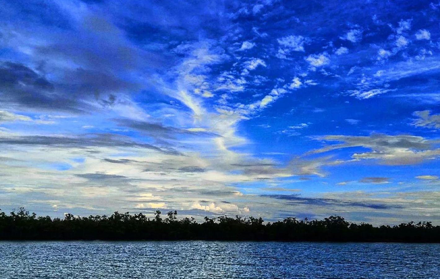 River & Forest