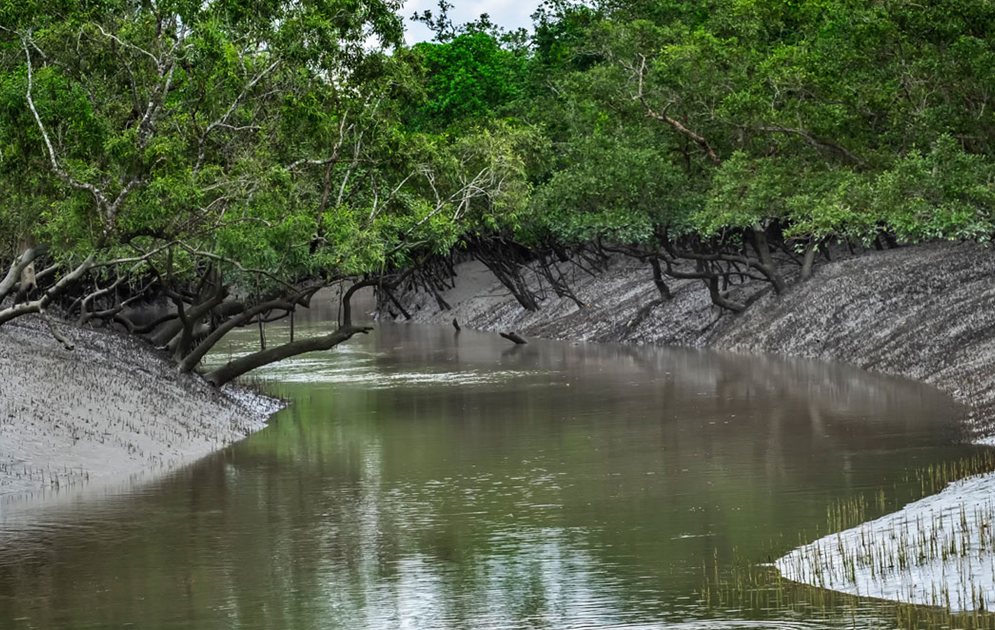 River & Forest