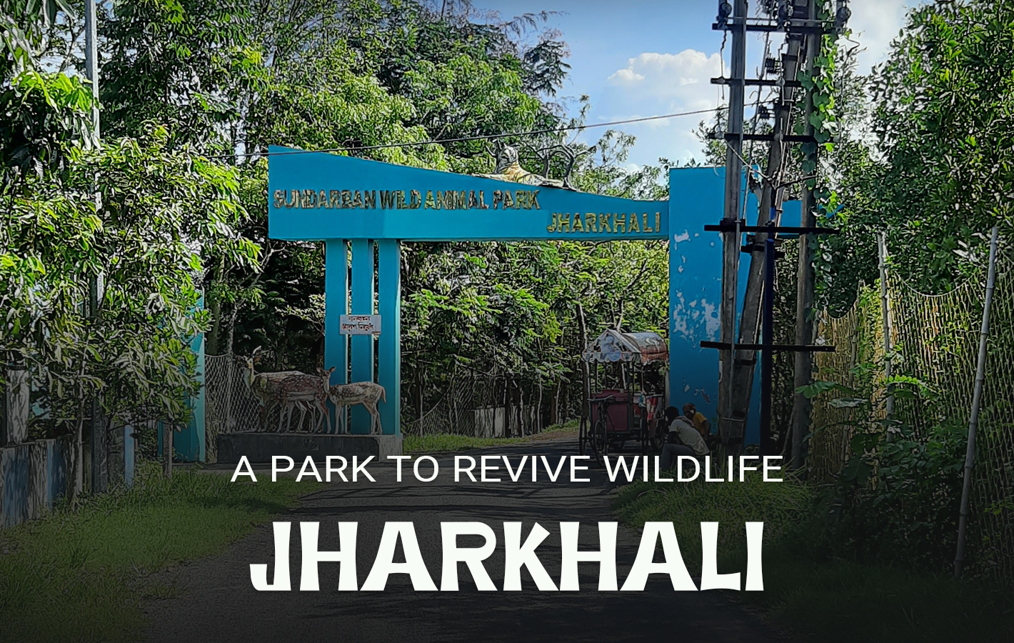 Jharkhali Eco Tourism