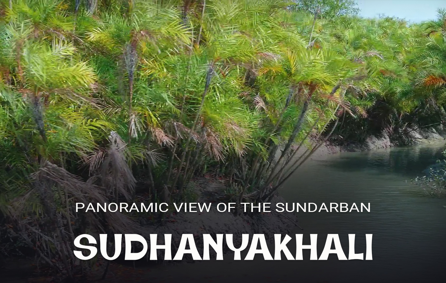 Sudhanyakhali Tiger Camp